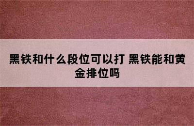 黑铁和什么段位可以打 黑铁能和黄金排位吗